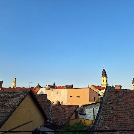 Black Eagle Central Unirii Square, 2 King Size Bedrooms, Free Private Parking Oradea Exteriör bild